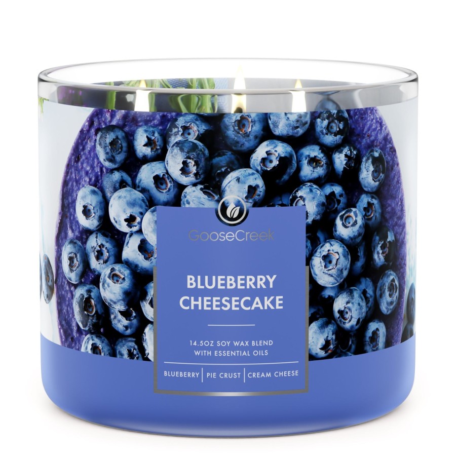 Candles Blueberry Cheesecake | Blueberry Cheesecake Large 3-Wick Candle