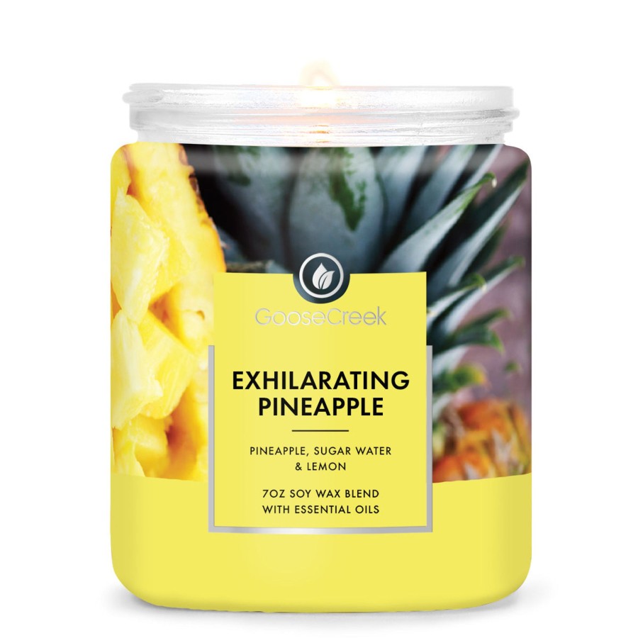 Candles Exhilarating Pineapple | Exhilarating Pineapple 7Oz Single Wick Candle