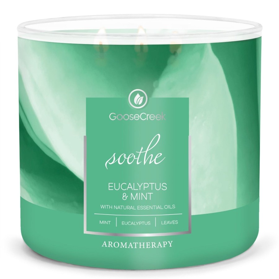 Candles Eucalyptus u0026 Mint | Eucalyptus & Mint Aromatherapy Large 3-Wick Candle