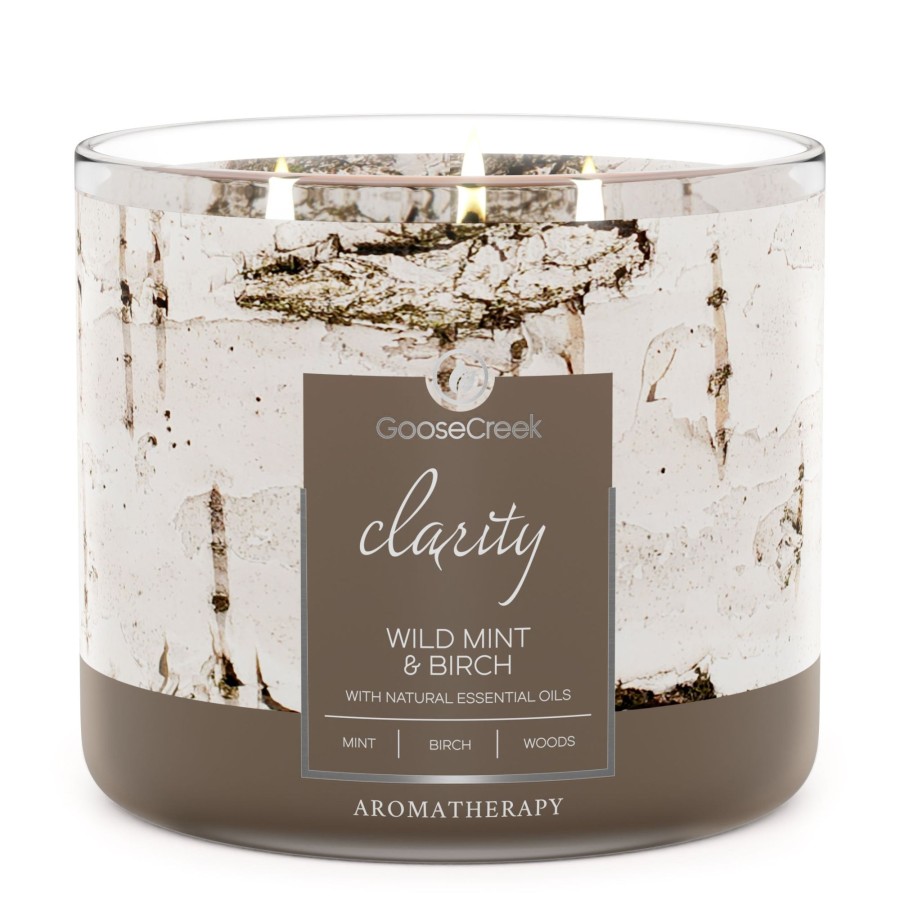 Candles Wild Mint u0026 Birch | Wild Mint & Birch Aromatherapy Large 3-Wick Candle