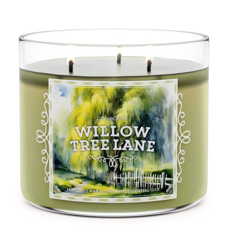 Candles Willow Tree Lane | Willow Tree Lane Large 3-Wick Candle