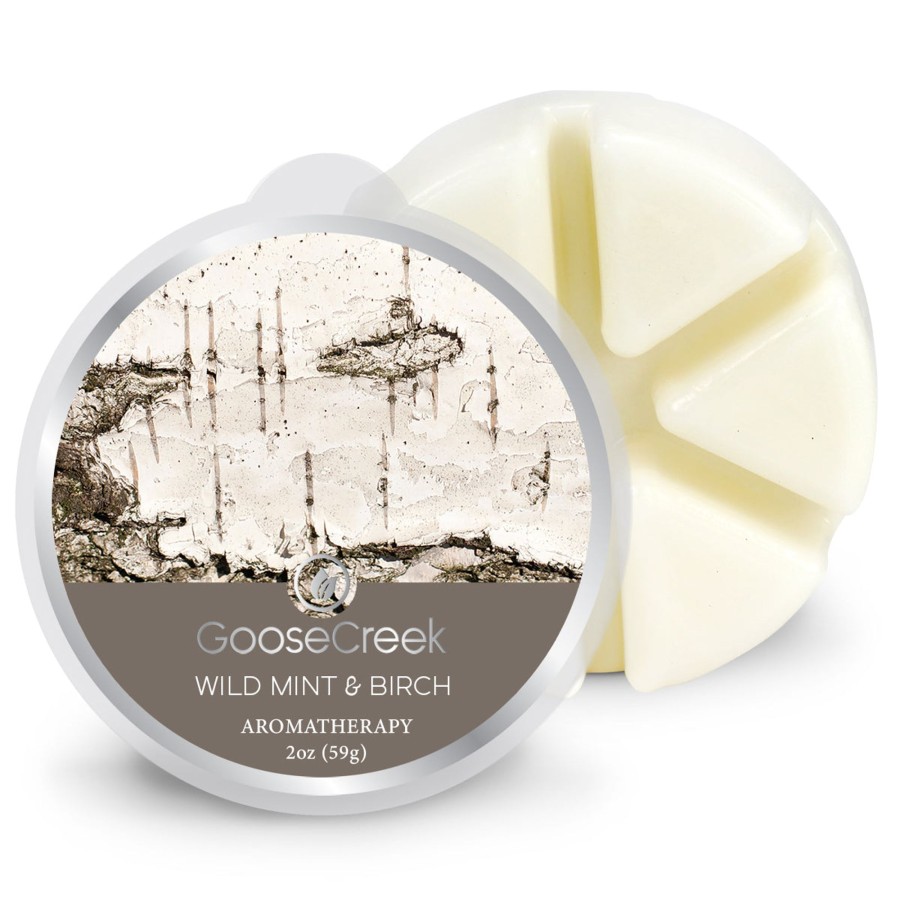 Wax Melts Wild Mint u0026 Birch | Wild Mint & Birch Wax Melt