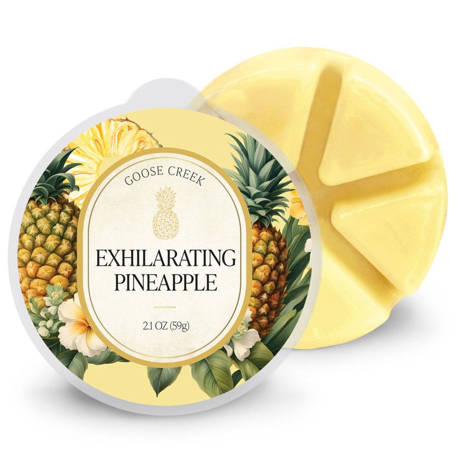 Wax Melts Exhilarating Pineapple | Exhilarating Pineapple Wax Melt