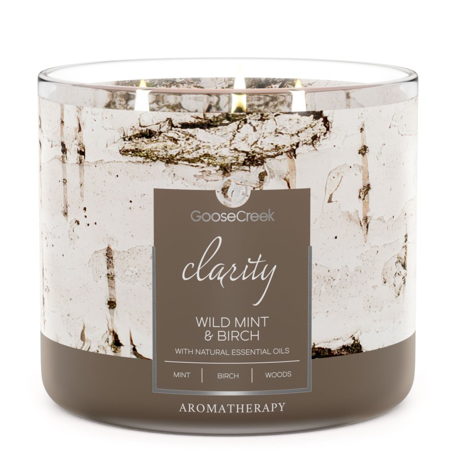 Candles Wild Mint u0026 Birch | Wild Mint & Birch Aromatherapy Large 3-Wick Candle