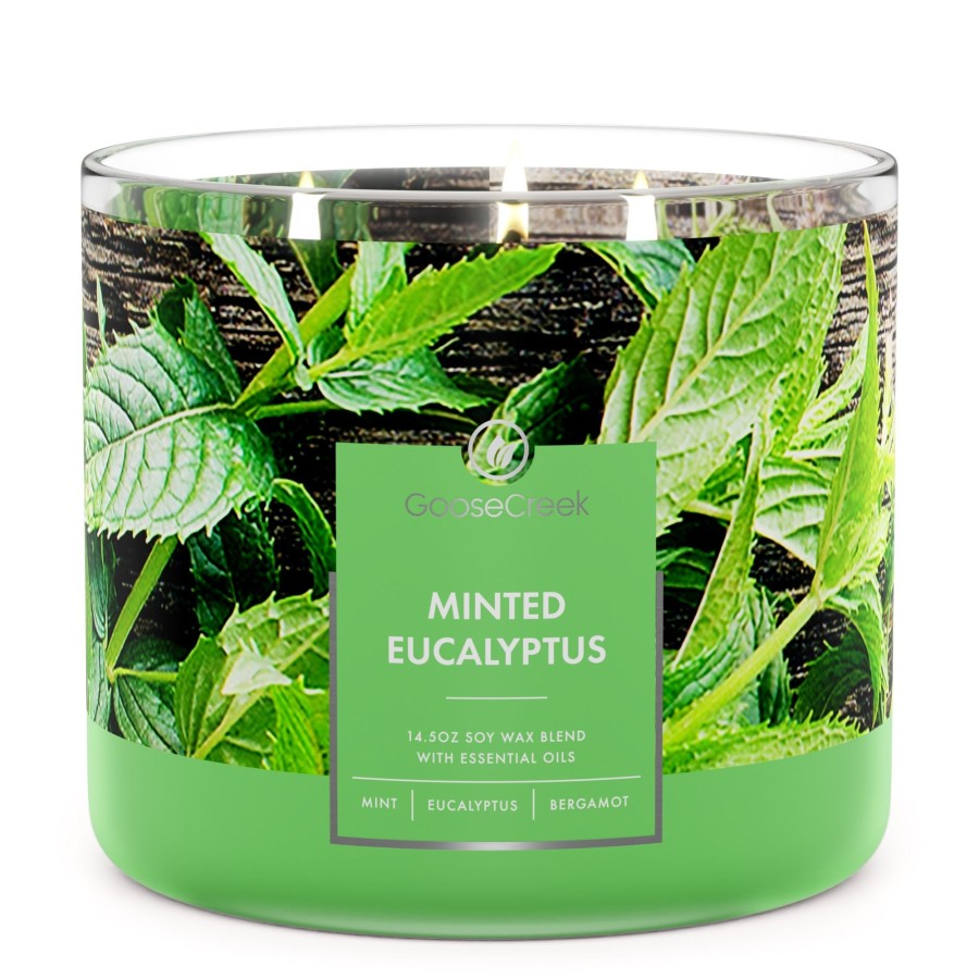 Candles Minted Eucalyptus | Minted Eucalyptus Large 3-Wick Candle