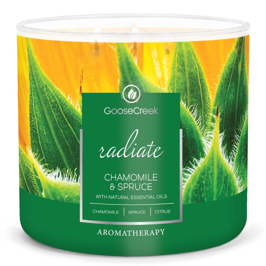 Candles Chamomile u0026 Spruce | Chamomile & Spruce Aromatherapy Large 3-Wick Candle