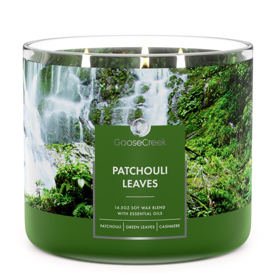 Candles Patchouli Leaves | Patchouli Leaves Large 3-Wick Candle