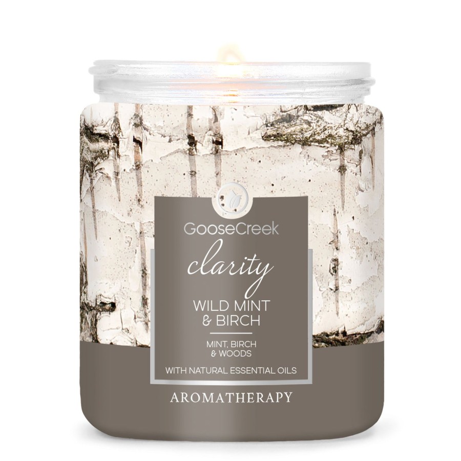 Candles Wild Mint u0026 Birch | Wild Mint & Birch Aromatherapy 7Oz Single Wick Candle