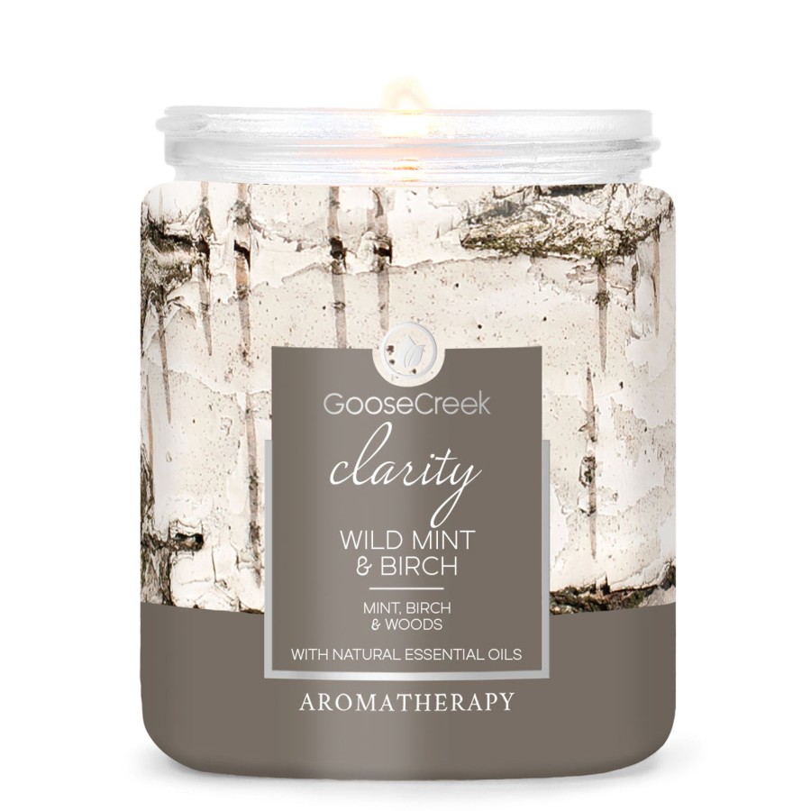 Candles Wild Mint u0026 Birch | Wild Mint & Birch Aromatherapy 7Oz Single Wick Candle