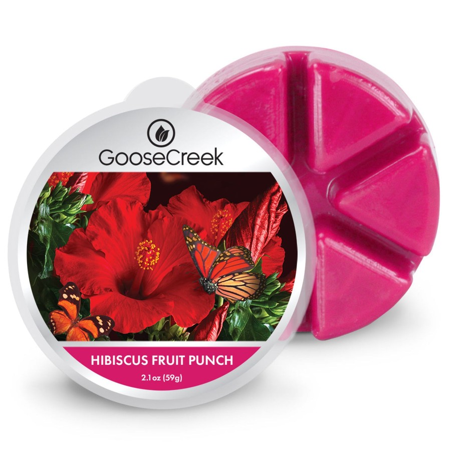 Wax Melts Hibiscus Fruit Punch | Hibiscus Fruit Punch Wax Melt