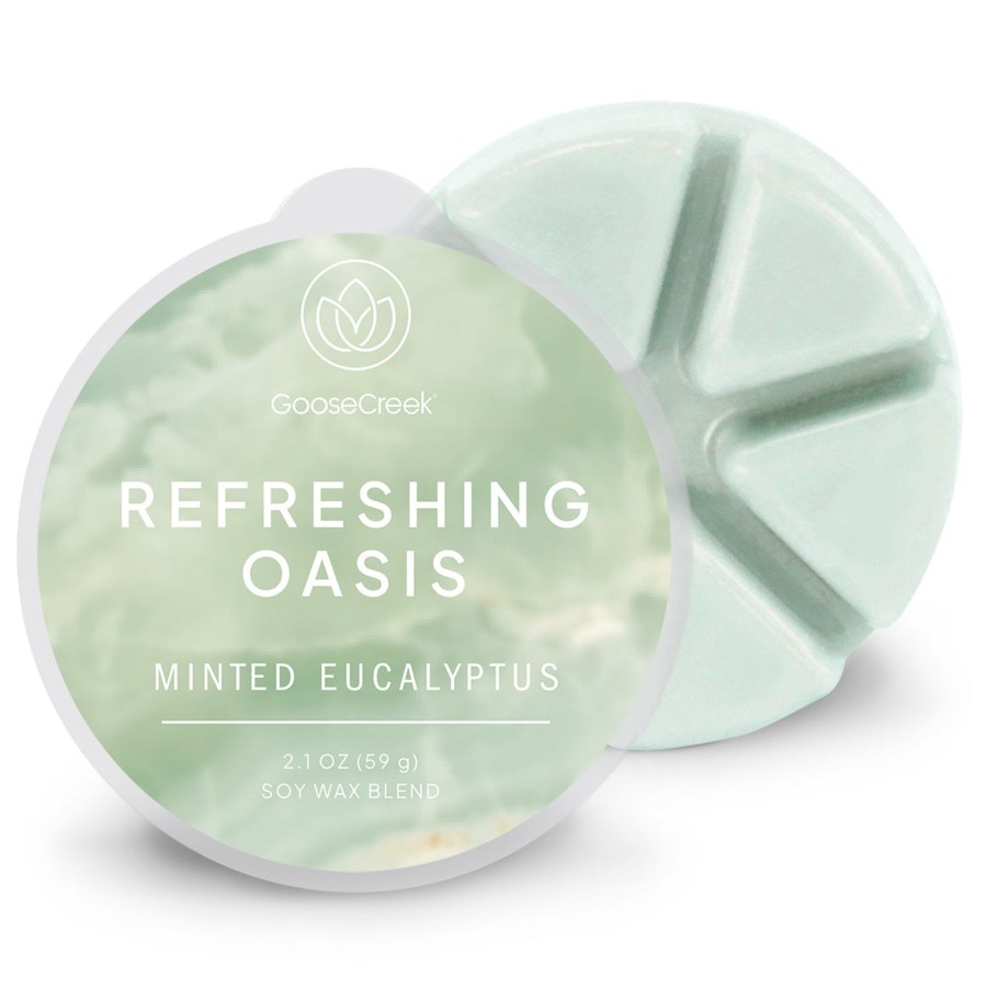 Wax Melts Minted Eucalyptus | Minted Eucalyptus Wax Melt