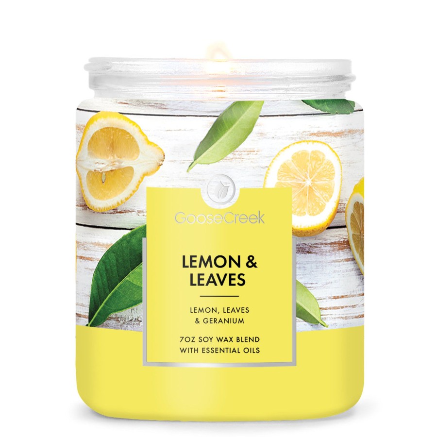 Candles Lemon u0026 Leaves | Lemon & Leaves 7Oz Single Wick Candle