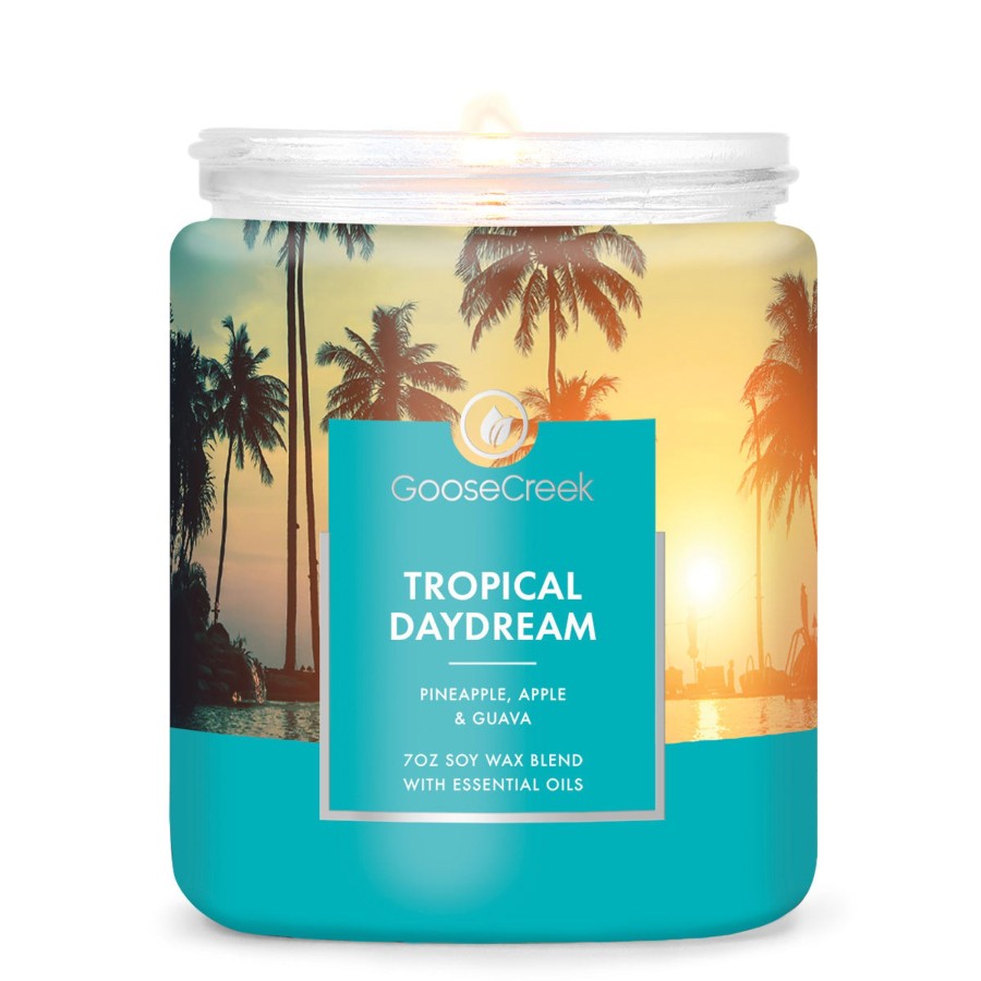 Candles Tropical Daydream | Tropical Daydream 7Oz Single Wick Candle