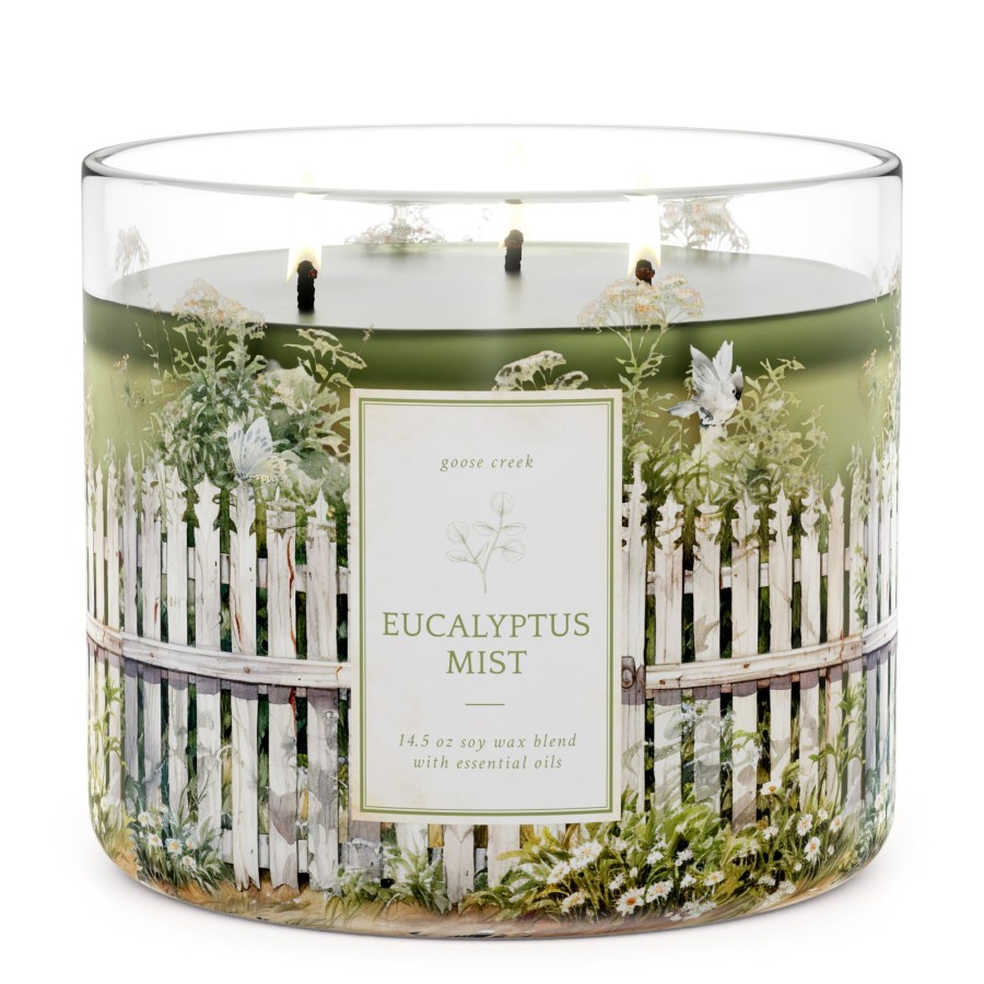 Candles Eucalyptus Mist | Eucalyptus Mist Large 3-Wick Candle