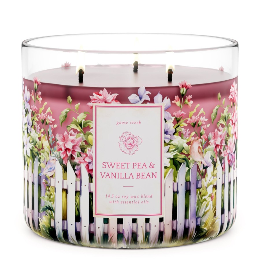 Candles Sweet Pea u0026 Vanilla Bean | Sweet Pea & Vanilla Bean Large 3-Wick Candle