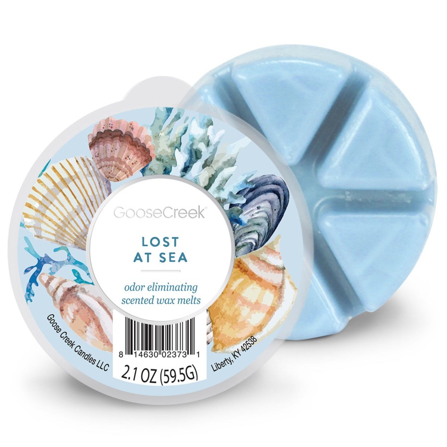 Wax Melts Lost at Sea | Odor Eliminating - Lost At Sea Wax Melt