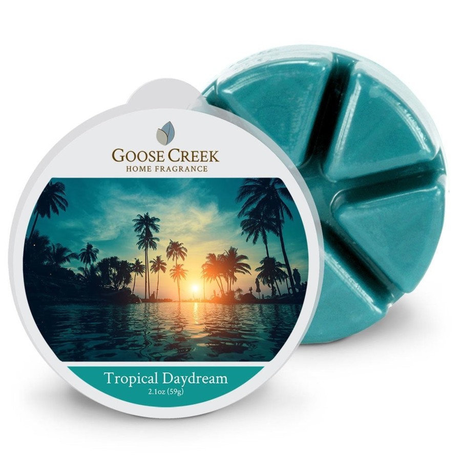 Wax Melts Tropical Daydream | Tropical Daydream Wax Melt