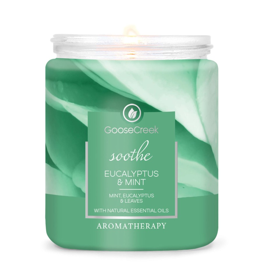 Candles Eucalyptus u0026 Mint | Eucalyptus & Mint 7Oz Aromatherapy Single Wick Candle