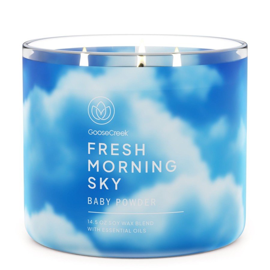 Candles Baby Powder | Baby Powder Large 3-Wick Candle