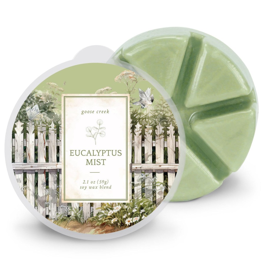 Wax Melts Eucalyptus Mist | Eucalyptus Mist Wax Melt